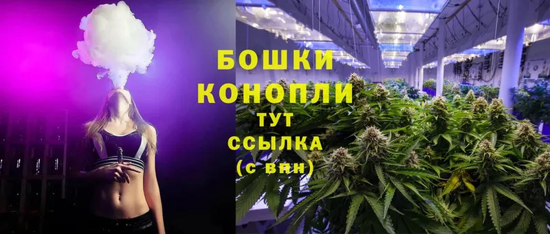 Бошки марихуана OG Kush  Осташков 